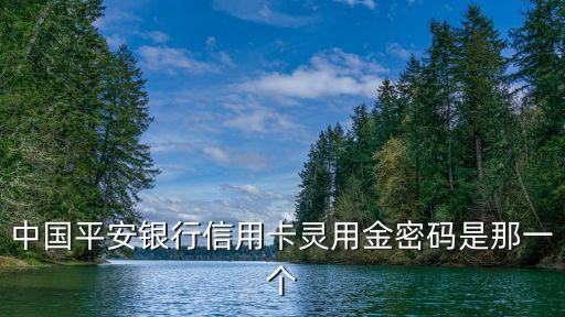 中國(guó)平安銀行信用卡靈用金密碼是那一個(gè)