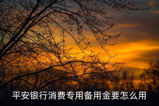 平安銀行消費(fèi)專用備用金要怎么用