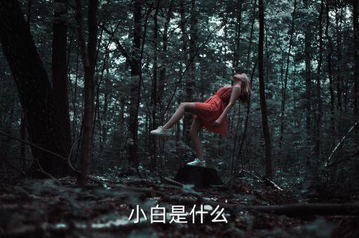 小白是什么