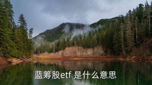 四大藍(lán)籌etf是什么，藍(lán)籌股etf 是什么意思