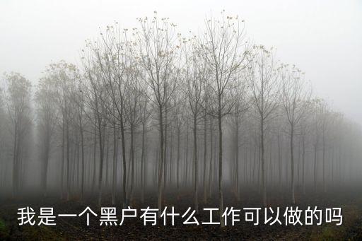 征信黑戶能做什么工作，我是一個(gè)黑戶有什么工作可以做的嗎