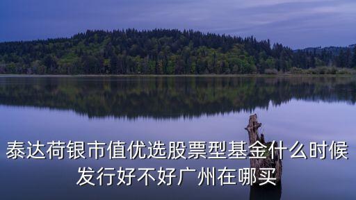 泰達(dá)基金什么時(shí)候，泰達(dá)荷銀市值優(yōu)選股票型基金什么時(shí)候發(fā)行好不好廣州在哪買
