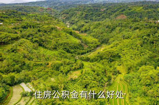 公積金一年有什么用，住房公積金有什么好處