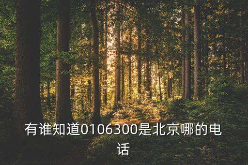 01063628888是什么電話(huà)，北京市公證處電話(huà)是多少