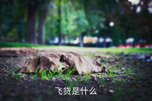 飛貸是什么