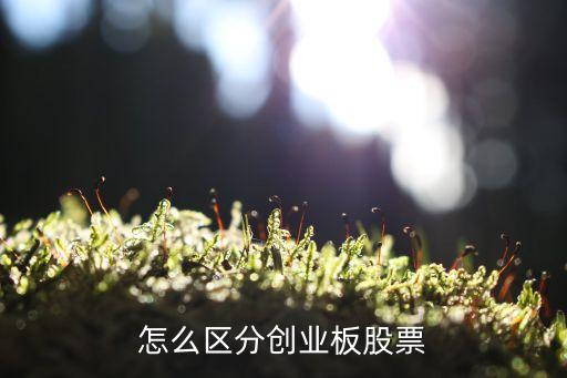 創(chuàng)業(yè)板有什么區(qū)別嗎，股票創(chuàng)業(yè)板和其它板塊有什么區(qū)別