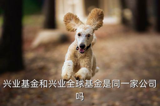 興業(yè)基金和興業(yè)全球基金是同一家公司嗎