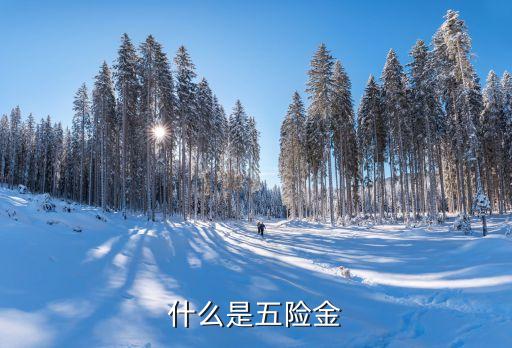 五險(xiǎn)是什么，什么是五險(xiǎn)金