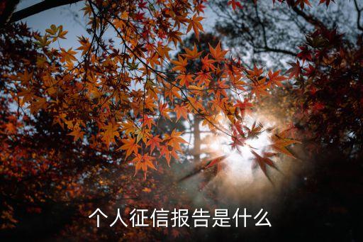 個(gè)人征信是指什么，個(gè)人征信報(bào)告是什么