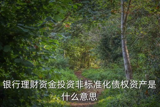 什么是非標(biāo)債權(quán)資產(chǎn)，什么叫非標(biāo)融資