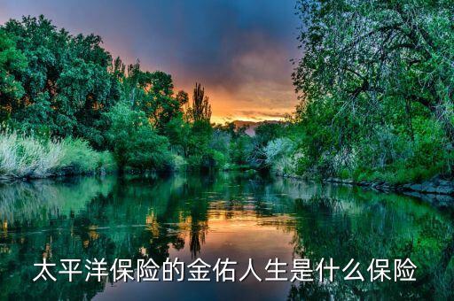太平洋保險的金佑人生是什么保險