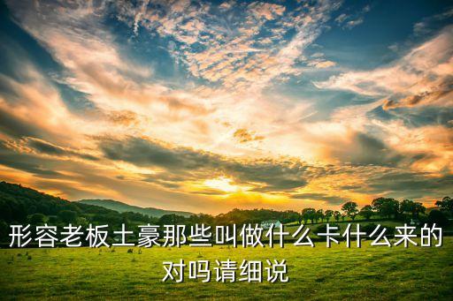 形容老板土豪那些叫做什么卡什么來的對嗎請細說