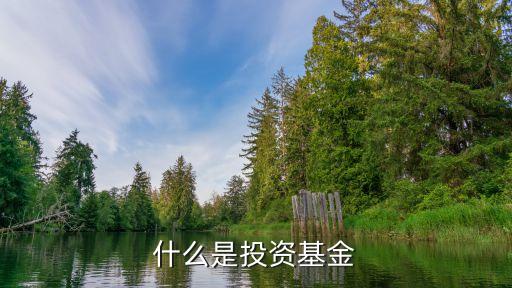 什么是投資基金