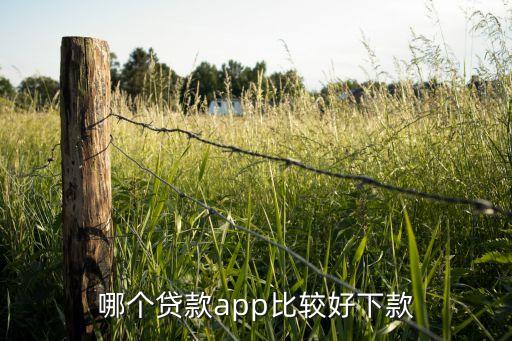 哪個(gè)貸款app比較好下款