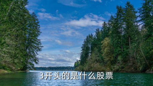 3開(kāi)頭的是什么股票