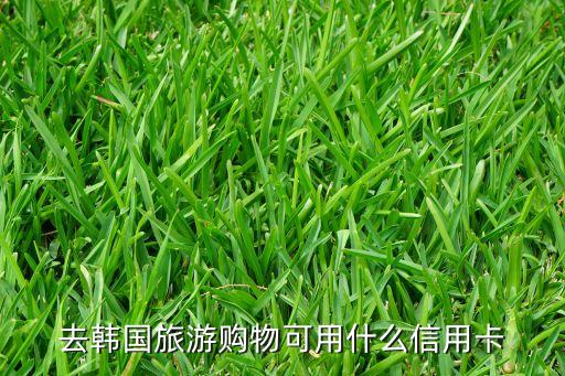 去韓國(guó)旅游購物可用什么信用卡