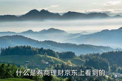 什么是券商理財(cái)產(chǎn)品，誰知道券商自營的理財(cái)產(chǎn)品是什么意思啊請解釋一下啊