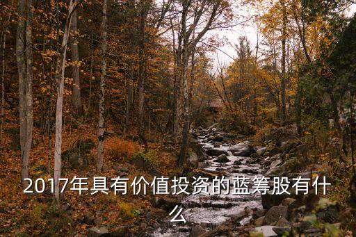 2017年具有價值投資的藍(lán)籌股有什么