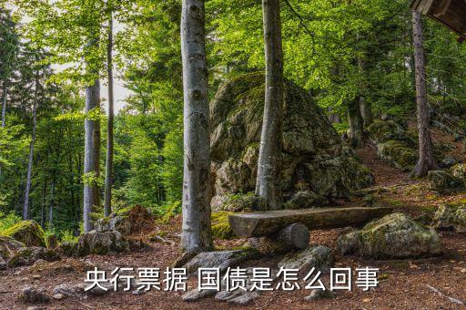 國債為什么是債務(wù)憑證，什么叫國債