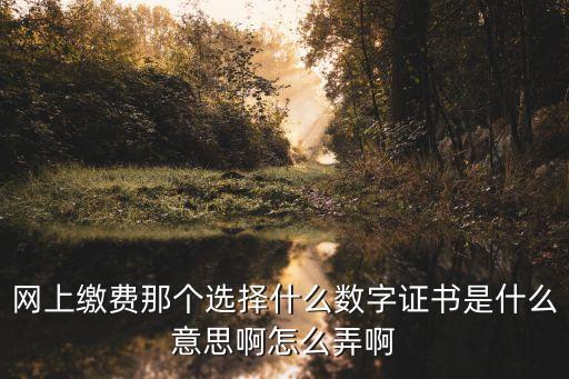 網(wǎng)上繳費(fèi)那個選擇什么數(shù)字證書是什么意思啊怎么弄啊