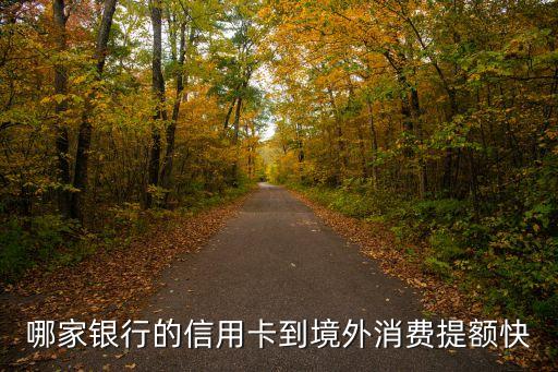 什么銀行刷外幣提額，哪家銀行的信用卡到境外消費(fèi)提額快