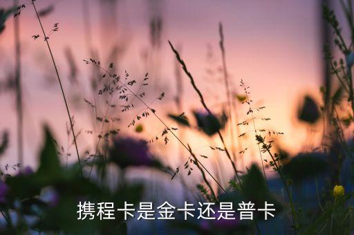 東亞攜程信用卡是什么卡，東亞攜程聯(lián)名信用卡是哪個銀行的