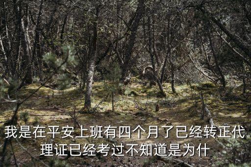 王開(kāi)國(guó)為什么加入平安，為什么加入平安