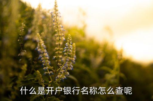 開卡銀行是什么樣的，什么是開戶銀行名稱怎么查呢