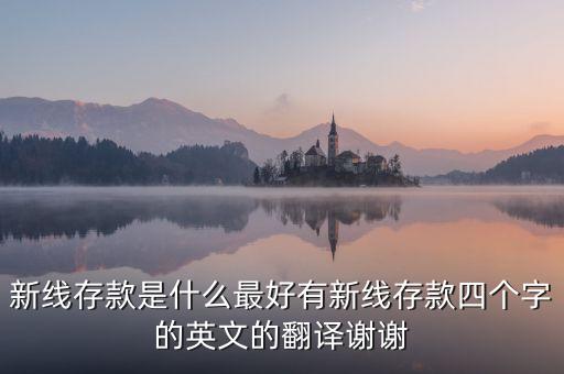 新線存款是什么最好有新線存款四個(gè)字的英文的翻譯謝謝