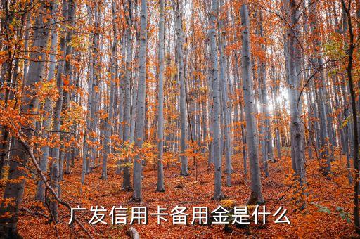 廣發(fā)信用卡備用金是什么