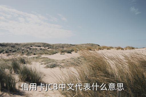 常用信用卡號什么意思，信用卡6個n是什么意思啊