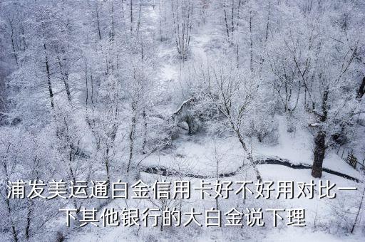浦發(fā)美運通白金信用卡好不好用對比一下其他銀行的大白金說下理