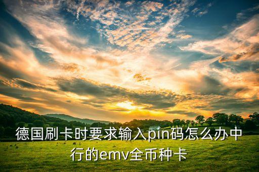 中行visa的pin碼是什么，德國刷卡時要求輸入pin碼怎么辦中行的emv全幣種卡