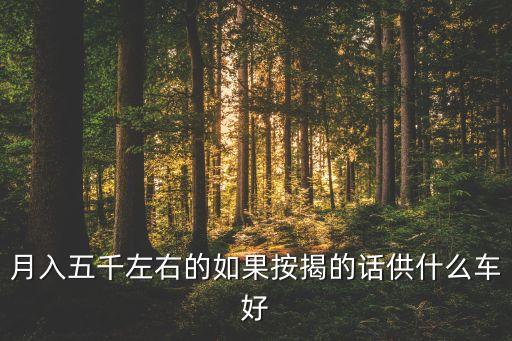 月薪6000可以貸款買什么車，月入五千左右的如果按揭的話供什么車好
