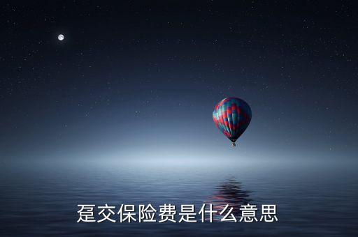 泵交保險(xiǎn)費(fèi)是什么意思，躉交保險(xiǎn)費(fèi)是什么意思