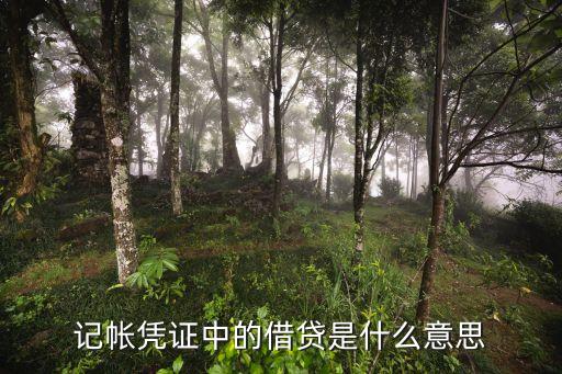 記帳憑證中的借貸是什么意思