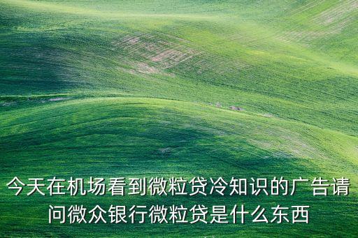 今天在機(jī)場(chǎng)看到微粒貸冷知識(shí)的廣告請(qǐng)問微眾銀行微粒貸是什么東西
