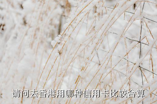 請(qǐng)問去香港用哪種信用卡比較合算