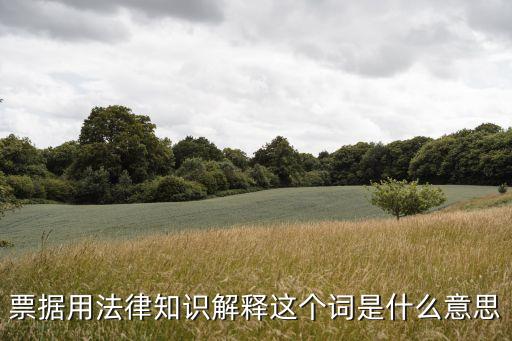 票據(jù)用法律知識(shí)解釋這個(gè)詞是什么意思