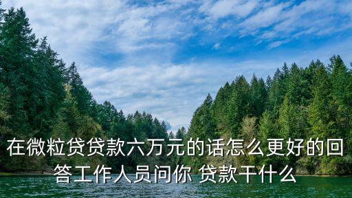 在微粒貸貸款六萬元的話怎么更好的回答工作人員問你 貸款干什么