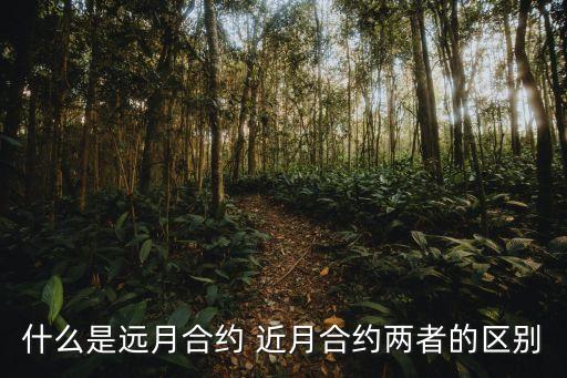 什么是遠(yuǎn)月合約 近月合約兩者的區(qū)別