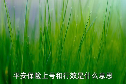 平安上號有什么用途，平安證券網(wǎng)上開戶給的3個(gè)賬號都是干什么用的