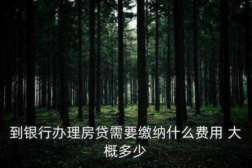 到銀行辦理房貸需要繳納什么費用 大概多少