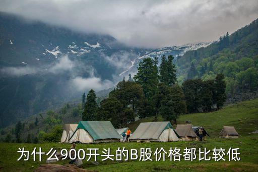 為什么買b股的人少，B股價(jià)格為什么比A股低