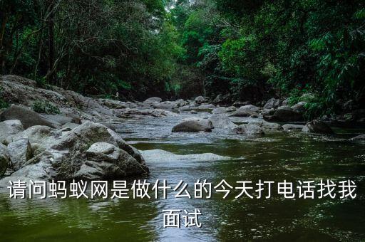 螞蟻網(wǎng)站是干什么的，螞蟻網(wǎng)站是做什么的用的