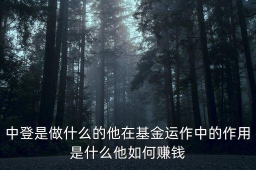 中登是做什么的他在基金運(yùn)作中的作用是什么他如何賺錢(qián)