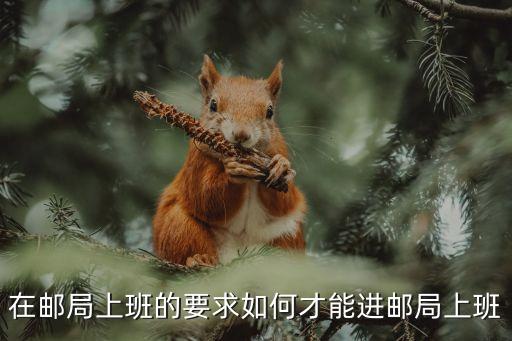 在郵局上班的要求如何才能進(jìn)郵局上班