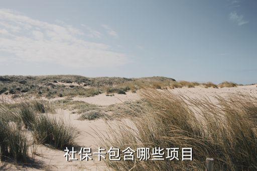 農(nóng)村社保卡包括什么資料，申請農(nóng)村社會保險包括什么材料