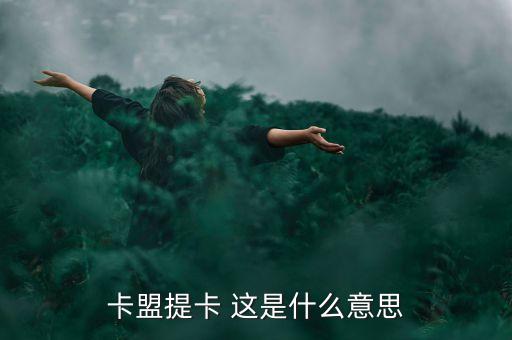 信用卡提卡什么意思，卡盟提卡 這是什么意思
