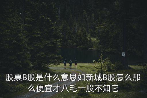 股票B股是什么意思如新城B股怎么那么便宜才八毛一股不知它